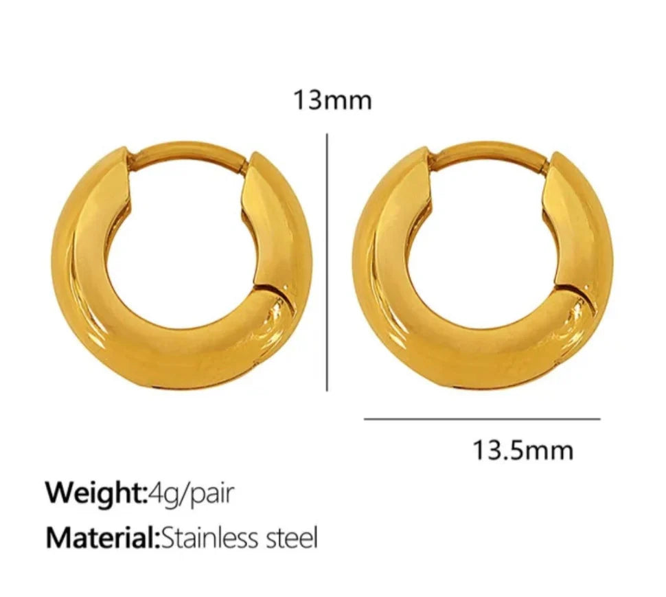 Small Chunky Hoop Earrings