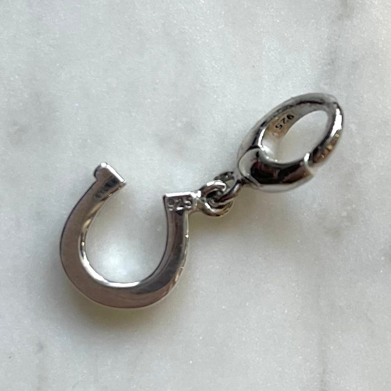 Horseshoe Charm