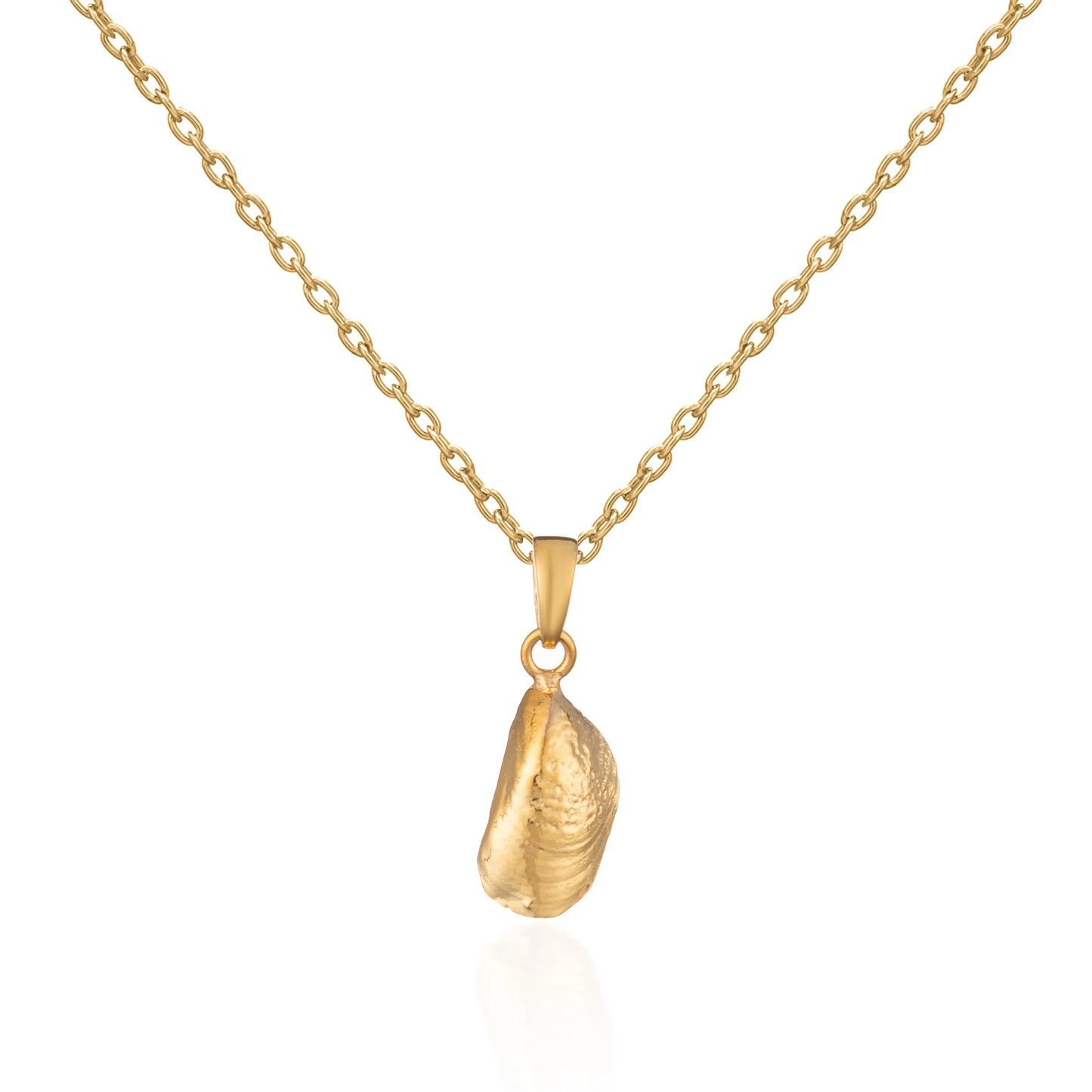 Gold Vermeil Mussel Necklace