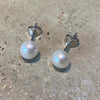 Freshwater Pearl Studs